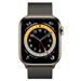 ساعت هوشمند اپل سری 6 خاکستری مدل Milanese Loop 44mm